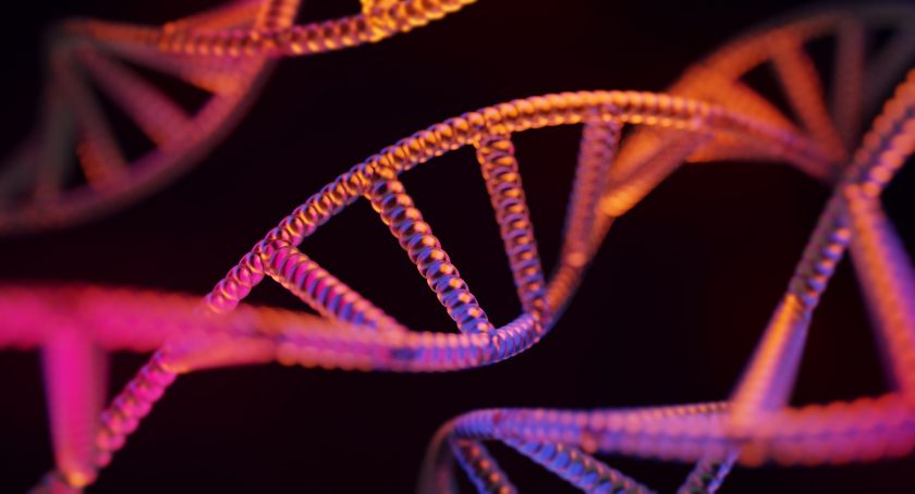 Balchem’s Optifolin+ Demonstrates Strong Methylation Capacity: Study
